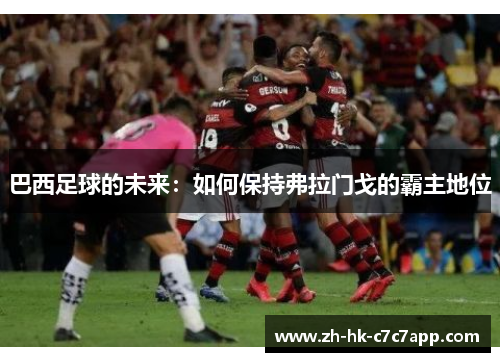巴西足球的未来：如何保持弗拉门戈的霸主地位